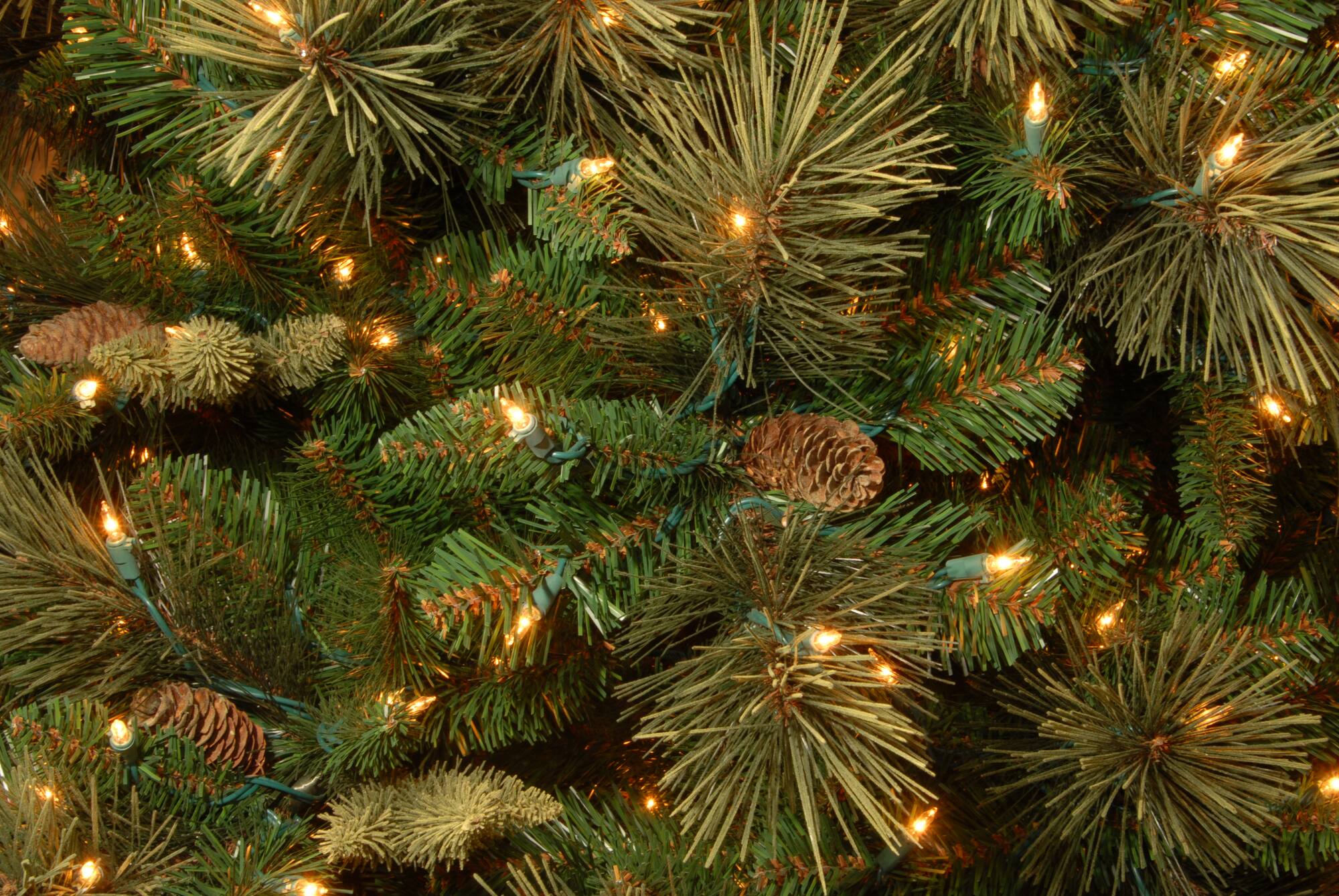 7 ft. Pre-Lit Carolina Pine Hinged Medium Artificial Christmas Tree, Clear Lights